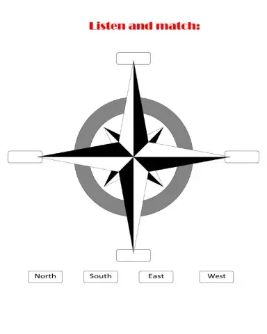 Exciting Environment