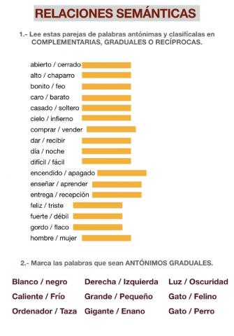 Relaciones semánticas: antonimia e hiperonimia