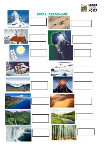 Unit 3 - Natural disasters and environments
