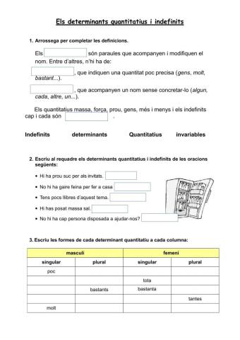 Els quantitatius i indefinits