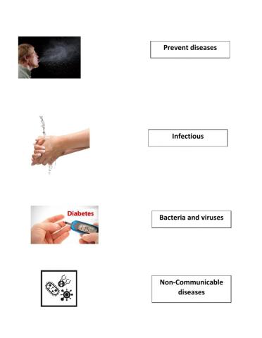 Lesson 5.1 (Causes of diseases)