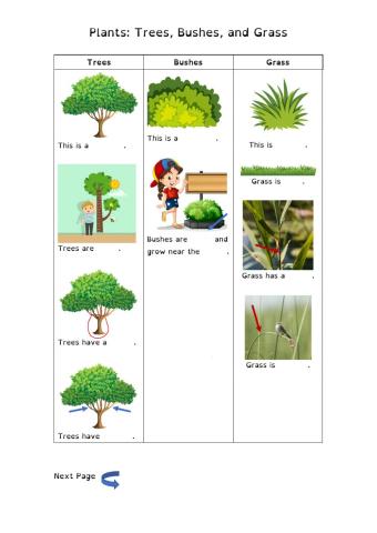 Plants: Trees, bushes, and grass