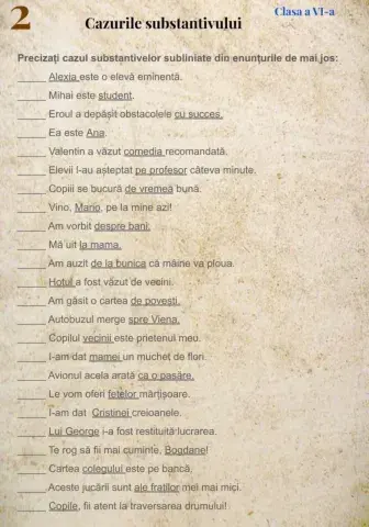 6.cazurile substantivului.2