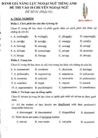 Đề thi đánh giá năng lực ngoại ngữ Tiếng Anh vào lớp 10 Chuyên ngoại ngữ - Số 1.1