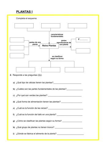 Plantas caracteristicas