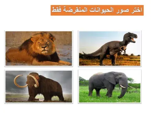 الحيوانات المنقرضة