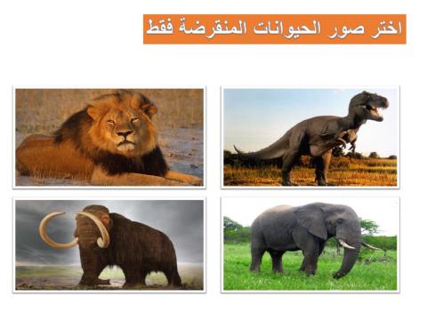 الحيوانات المنقرضة