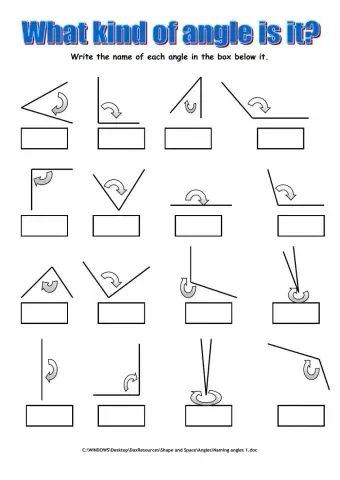 Types of Angles