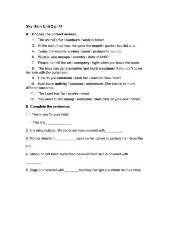 Sky High Unit 2 p.41