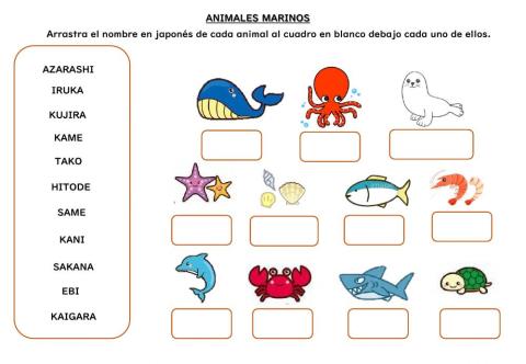 Animales Marinos en Japones - Romaji
