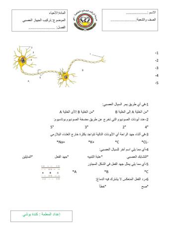 الخلية العصبية