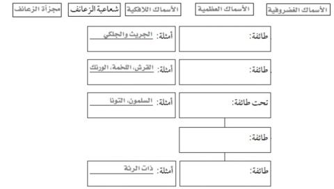 تصنيف الأسماك