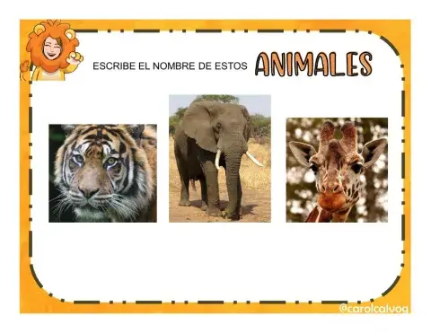Animalesafricanos---1