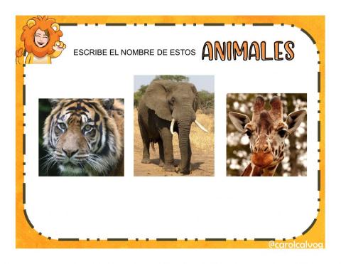 Animalesafricanos---1