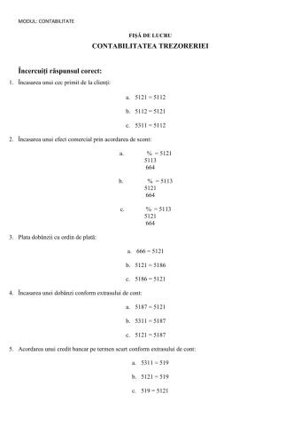 Contabilitatea trezoreriei