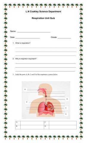 Respiratory System Unit Quiz