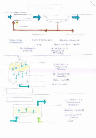 Tratamientos secundarios
