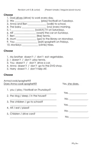 Present simple (revision unit 5)