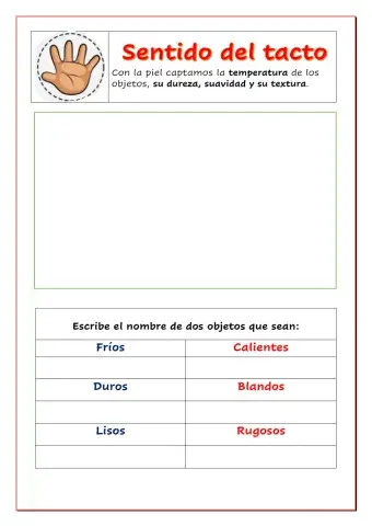 El sentido del tacto