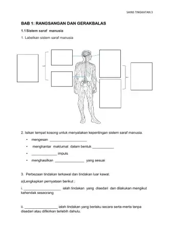 Rangsangan & Gerakbalas