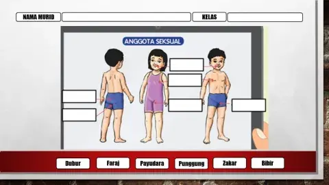 Pendidikan kesihatan tahun 3 ms66