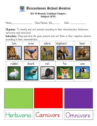 Animal classification