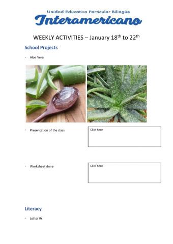Weekly activities - Preparatory - week 33