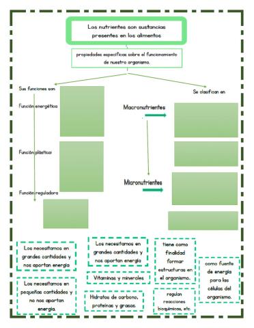 Nutrientes
