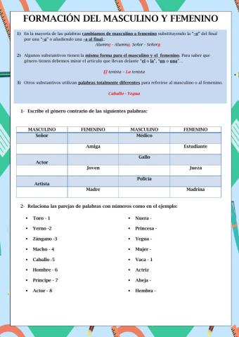 Formación del masculino y femenino