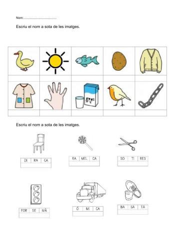 Consciència fonològica
