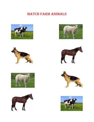 Match farm animals