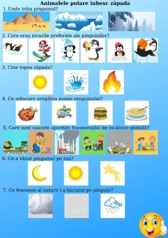 Animalele polare iubesc zapada