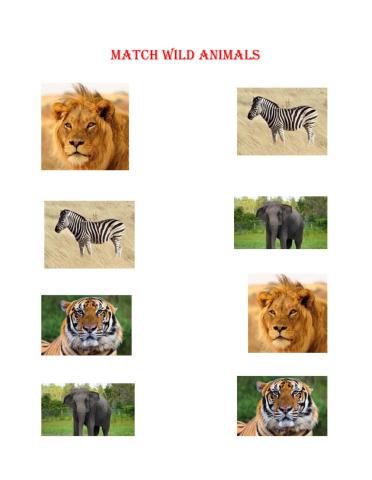 Match wild animals