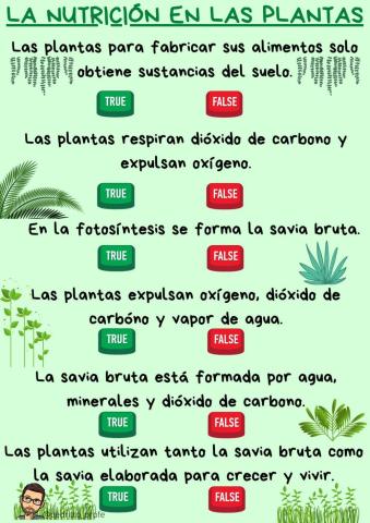 La nutrición de las plantas