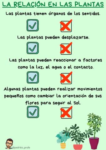 La relación de las plantas