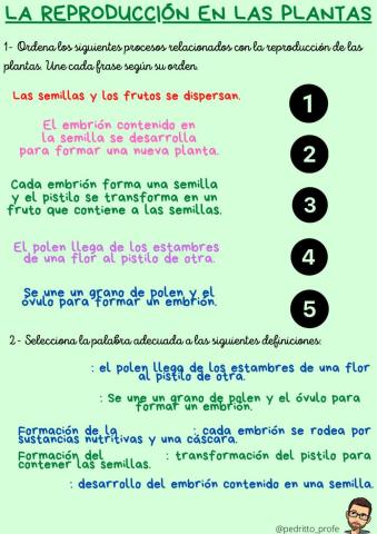 La reproducción de las plantas