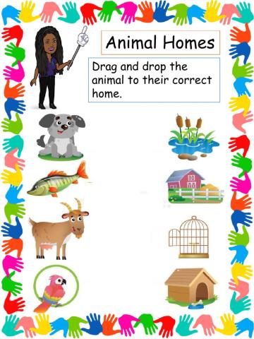 Animal Homes
