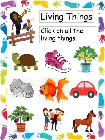 Living Things