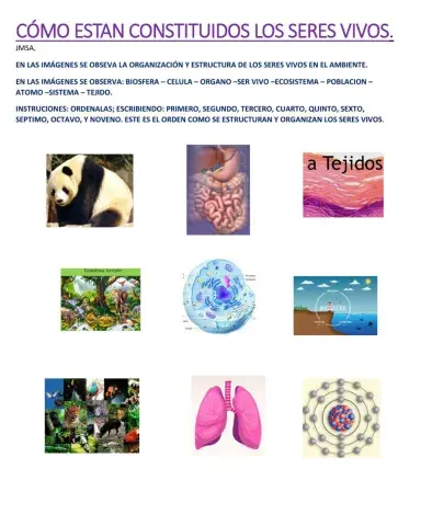 Estructura y organizacion de los seres vivos