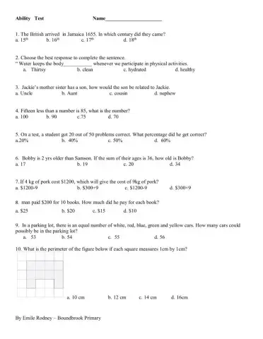 Ability Test  Practice 2