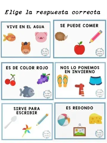 Los sentidos, identificar las respuestas