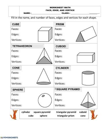 3D shapes (face, edge, vertice)