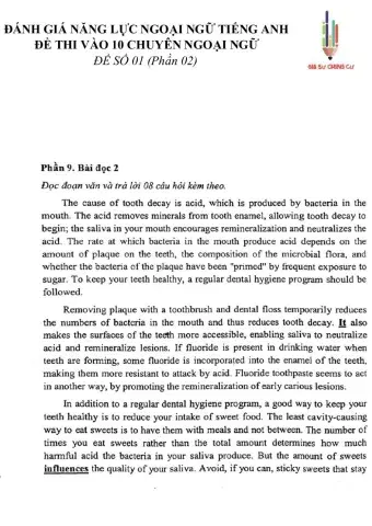 Đề thi đánh giá năng lực ngoại ngữ Tiếng Anh vào lớp 10 Chuyên ngoại ngữ - Số 1.2