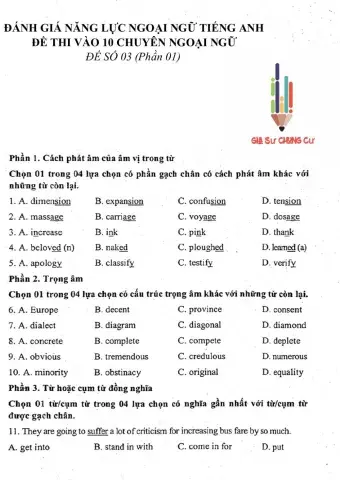 Đề thi đánh giá năng lực ngoại ngữ Tiếng Anh vào lớp 10 Chuyên ngoại ngữ - Số 3.1