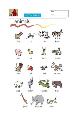 Chapter 5 Grade 7 How to describe animal