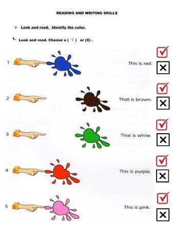 Starters practice test