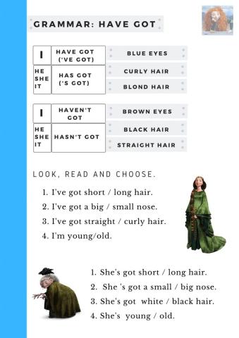 Grammar have got - has got