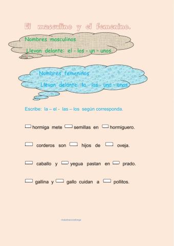 Masculino y femenino