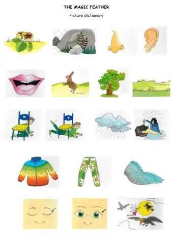 The Magic feather Picture dictionary