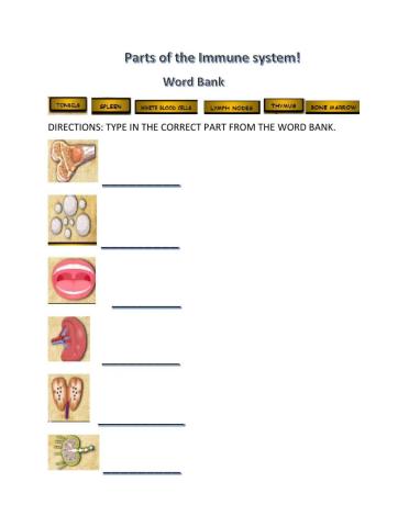 Parts to the immune system